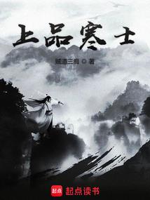 星传说之狼皇
