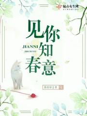 无限位面之掠夺系统