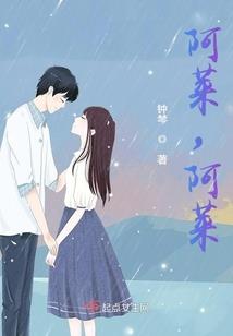 碧血丹心逍遥剑