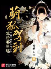 神明之晓