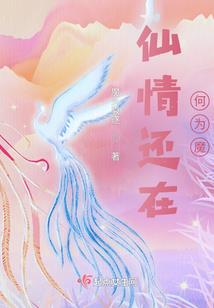 我在红灯街区的岁月