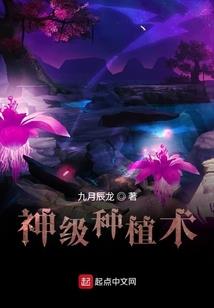 跟着师傅那几年
