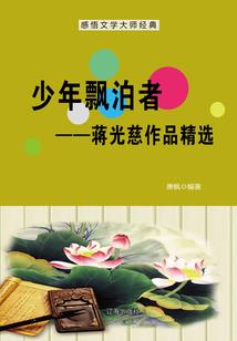 总裁的隐婚秘书