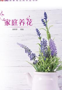 长安乱之梦断楼兰