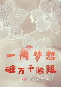 海贼之无双枪魂