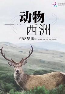 诸天从狂飙开始