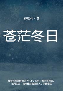 影后老婆，结个婚！