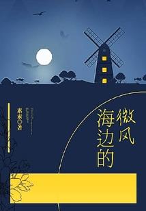 这个男主有点娘