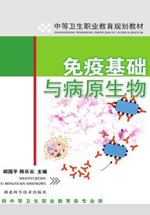 一个小小的阴阳先生