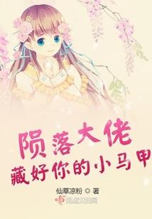 宠妻：总裁的第一夫人