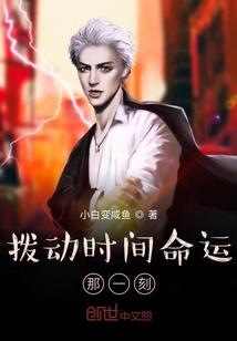 凤凰劫之战火皇妃
