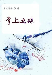 圣耀诸天之涅磐