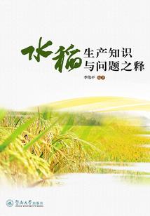穿越之老九门