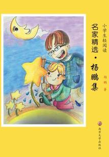 皇明皇太孙