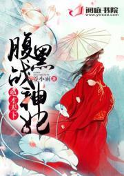战甲王