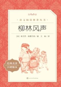 痴儿攻略