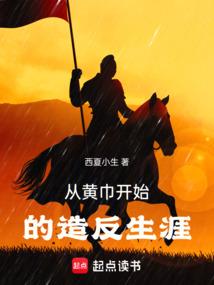 人在斗罗，我是唐三哥