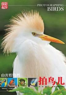 穿越之我为主神