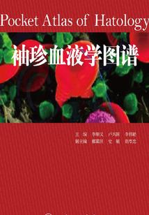 人想躺平，奈何我的影子太争气