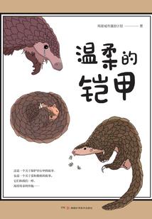 九曲流星