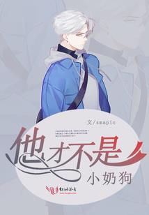 与世为敌终成炮灰