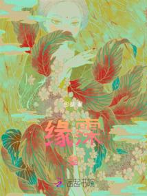 航海王日新