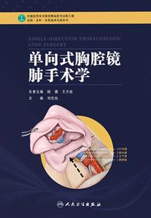 星辰流光之流光星辰