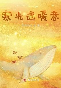 说不完的心动