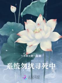 麦地风云