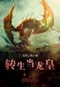 无序之主