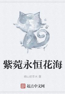 撞了南墙就回头