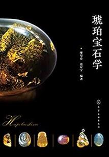 劫武记