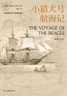 光之纽带