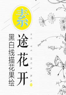 龙珠：赛亚人的我终成天使