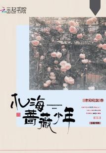 道凡心