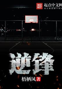 骑士的星空