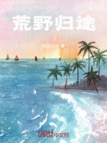 异世之盗匪天下