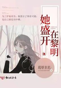 斯文传奇
