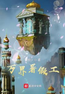 提审张野