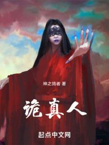 雪落半边城