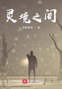 tf家族台风四子