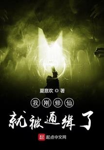 西妃醉