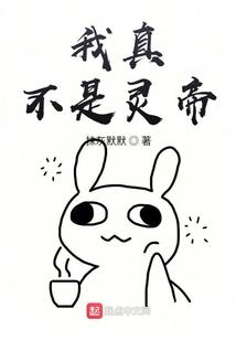 民国大师球系统