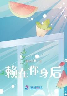不落的飞翔者