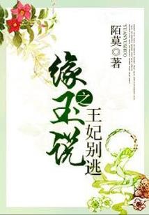 乌鸦与少年
