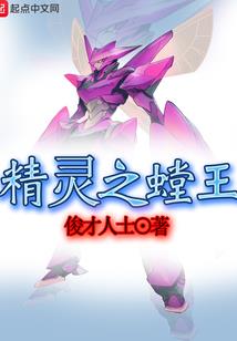 评书金枪杨家将