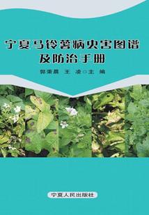 机长大人，别来无恙！
