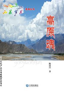 末日降临，我只想钓鱼