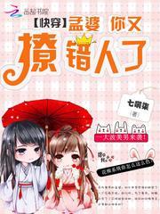 四元大陆英雄传