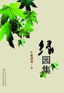 凌傲之巅